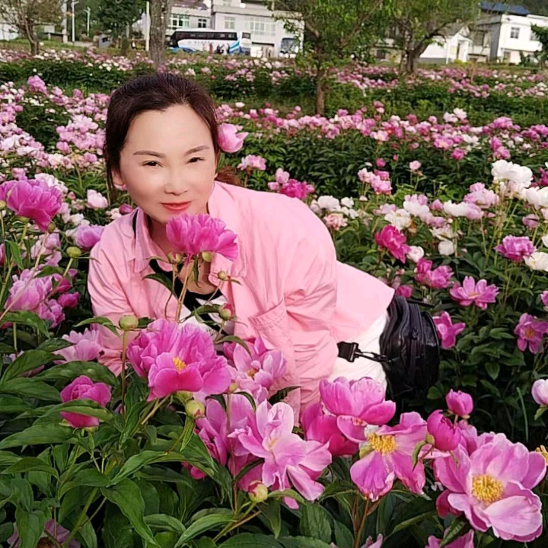 千年白狐（湖北麻城）