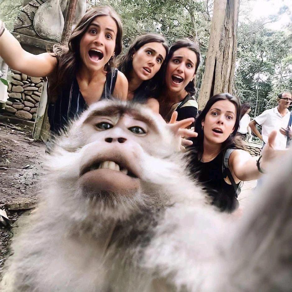 嘉宝莉漆名山分漆