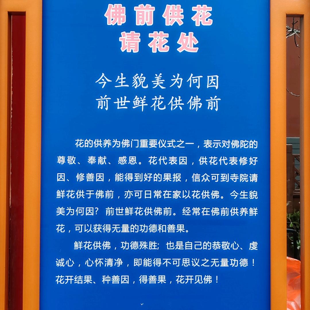 藏族女