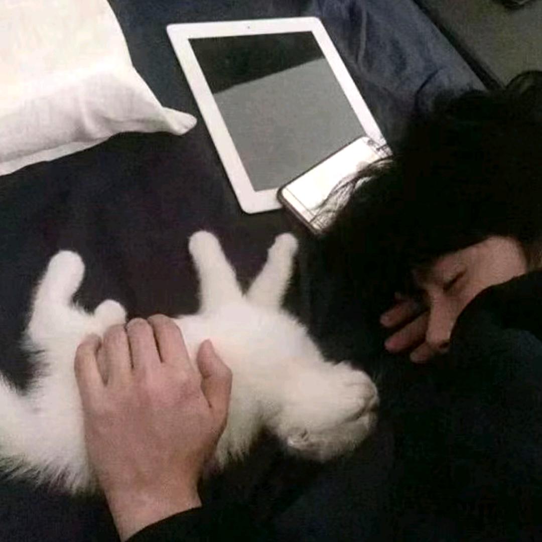 不嘻嘻嘻