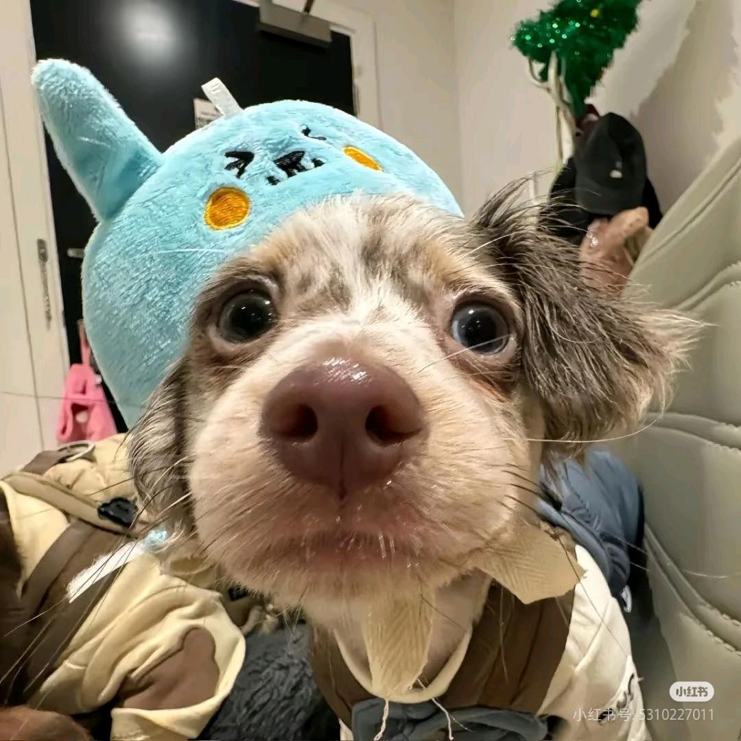 YO