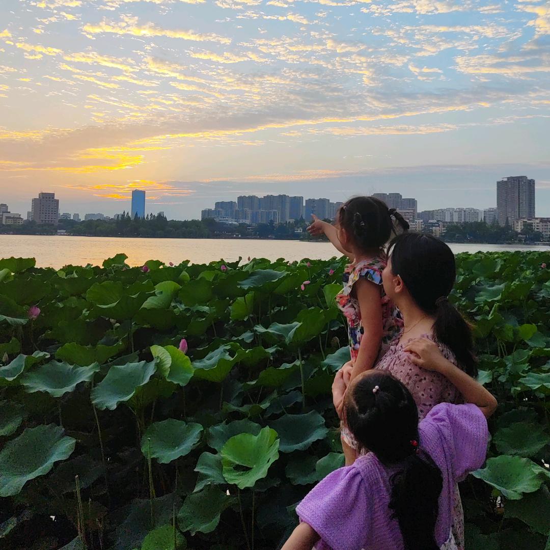 晏子租房（南京主城区）