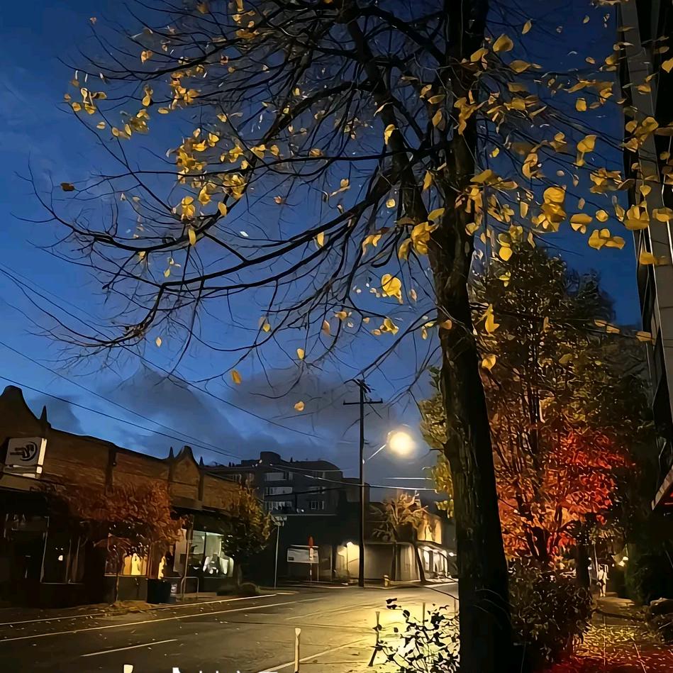 淡然.🍁