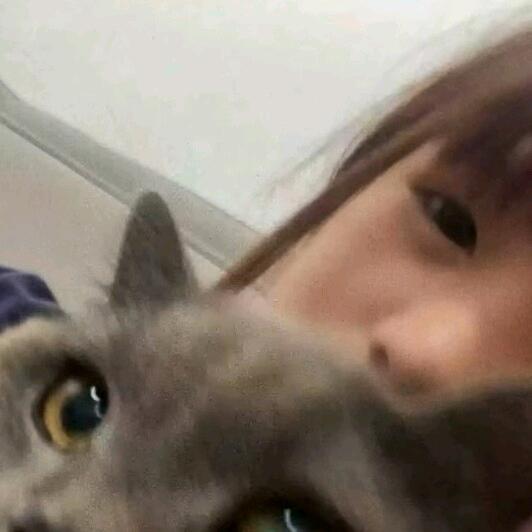小张🐟