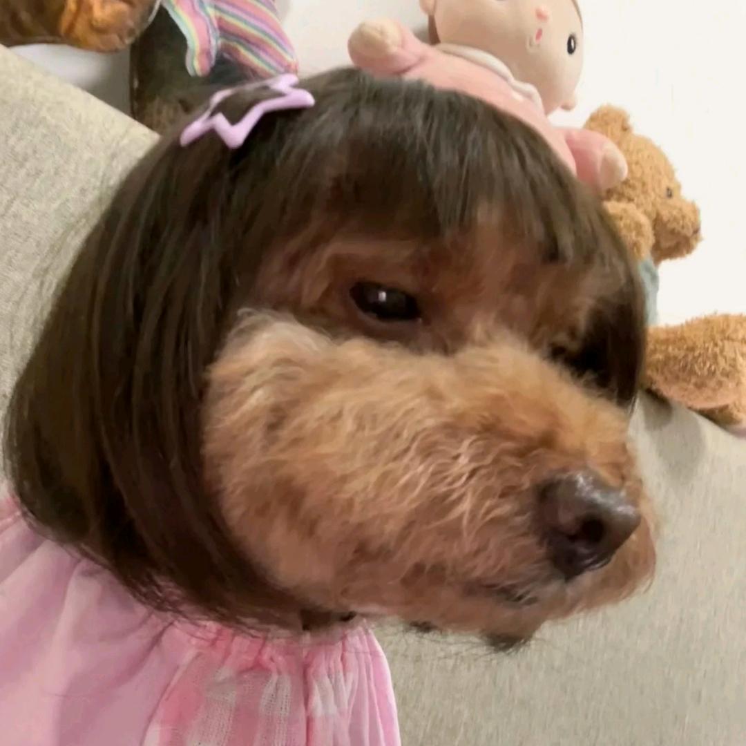 脏小鬼.