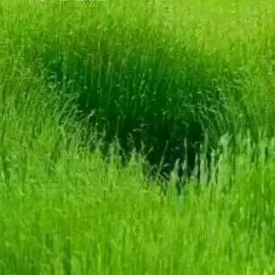 二七十四