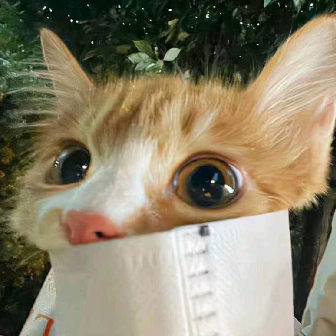 diss你在逃公🐷