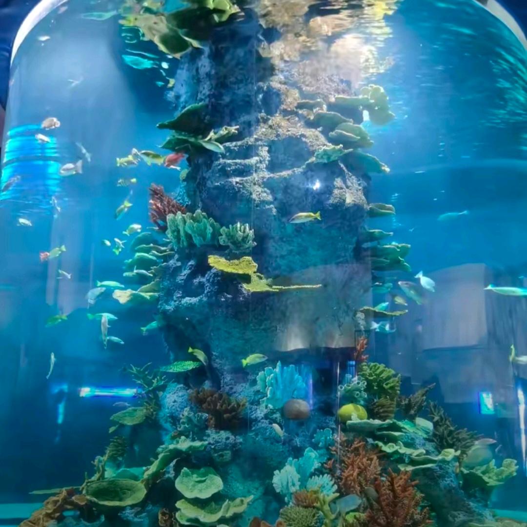 人工智能实际应用