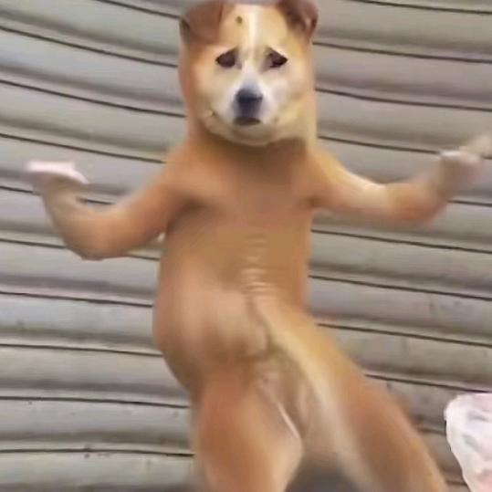 最老实的人