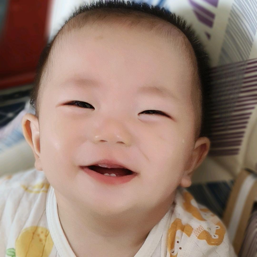 六六崽