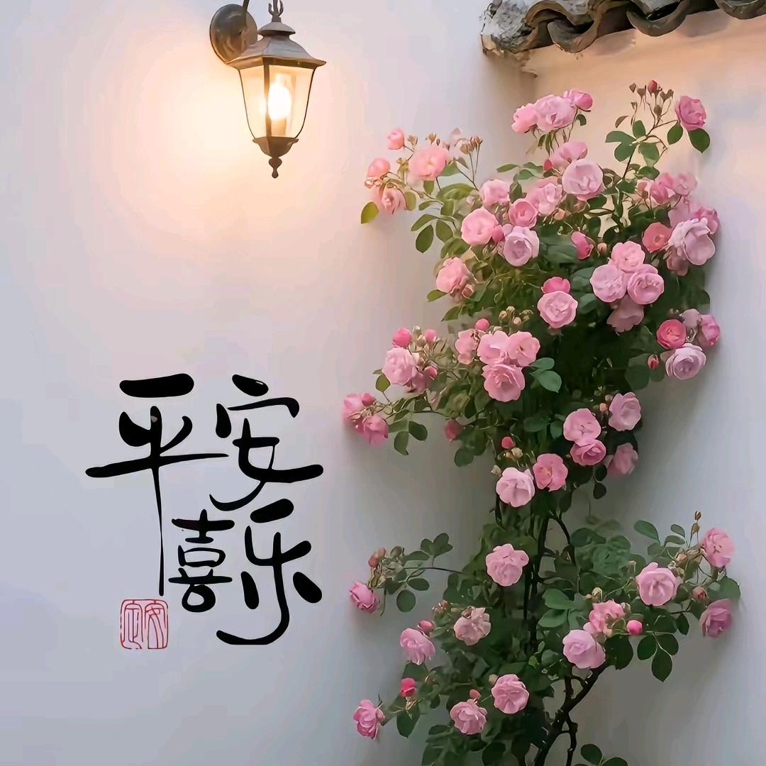 青乐信息（青琰）