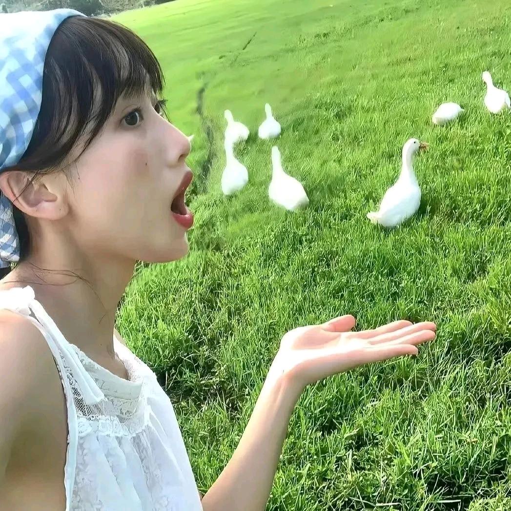 北北