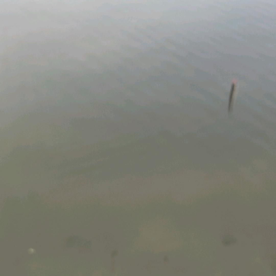 xz