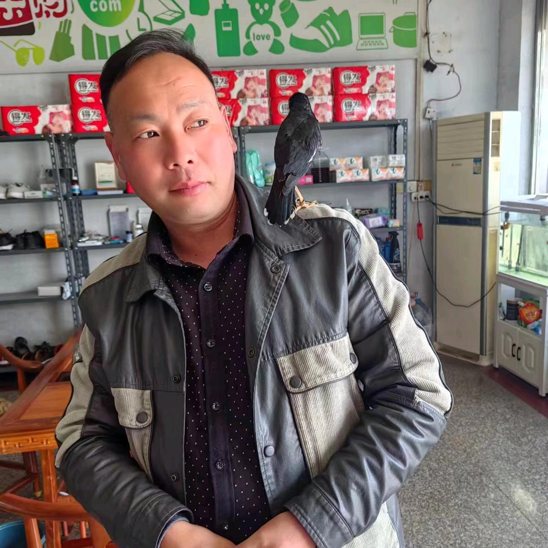 迎难而上
