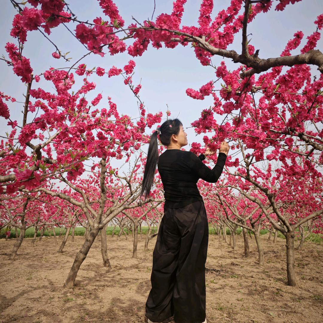 🌺梅梅🌺