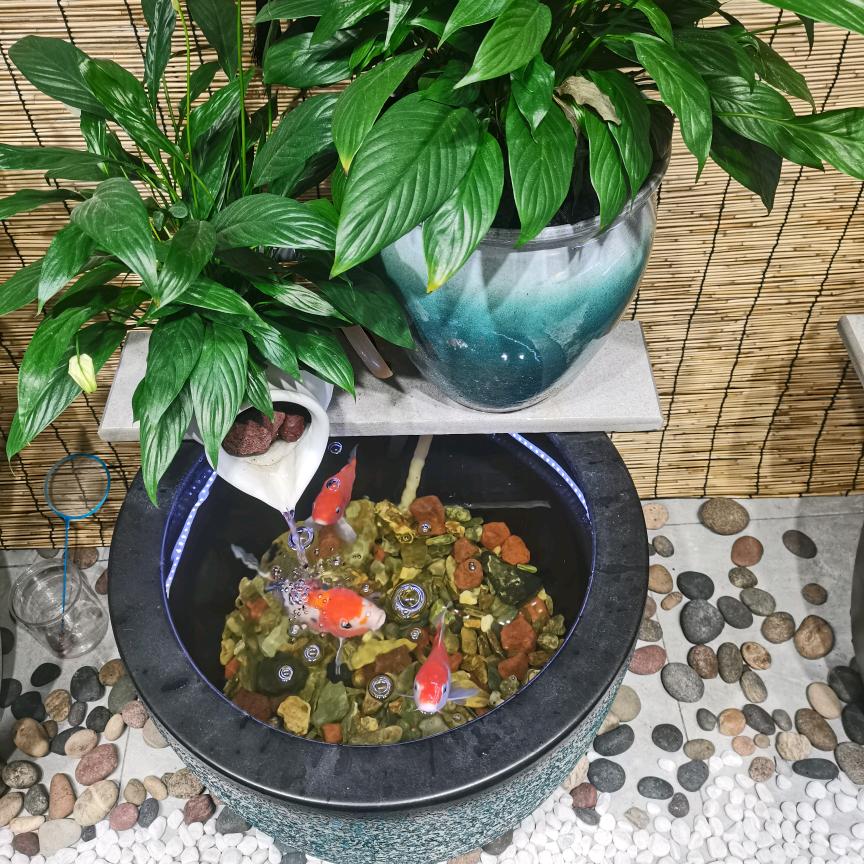 木海栖鱼