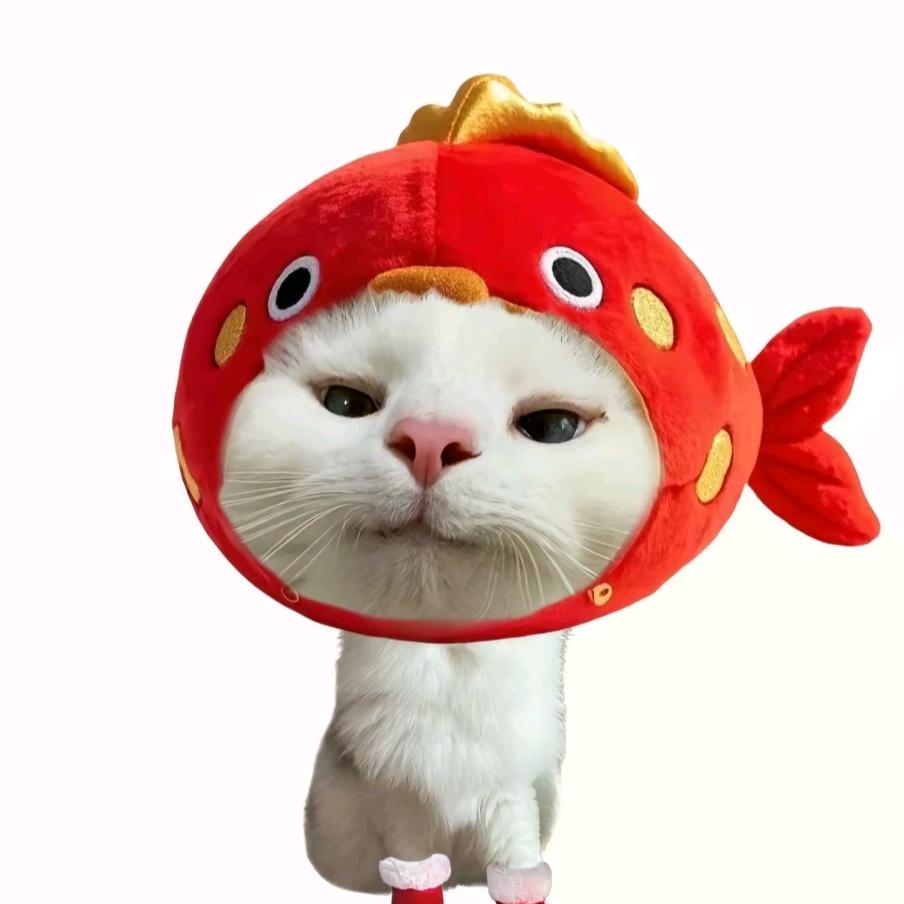 17。
