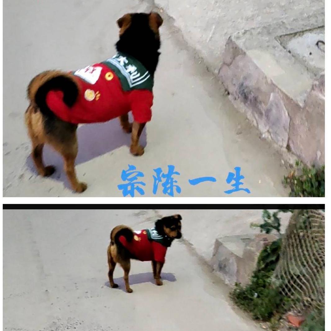 三农侠姐《ぁぁ》