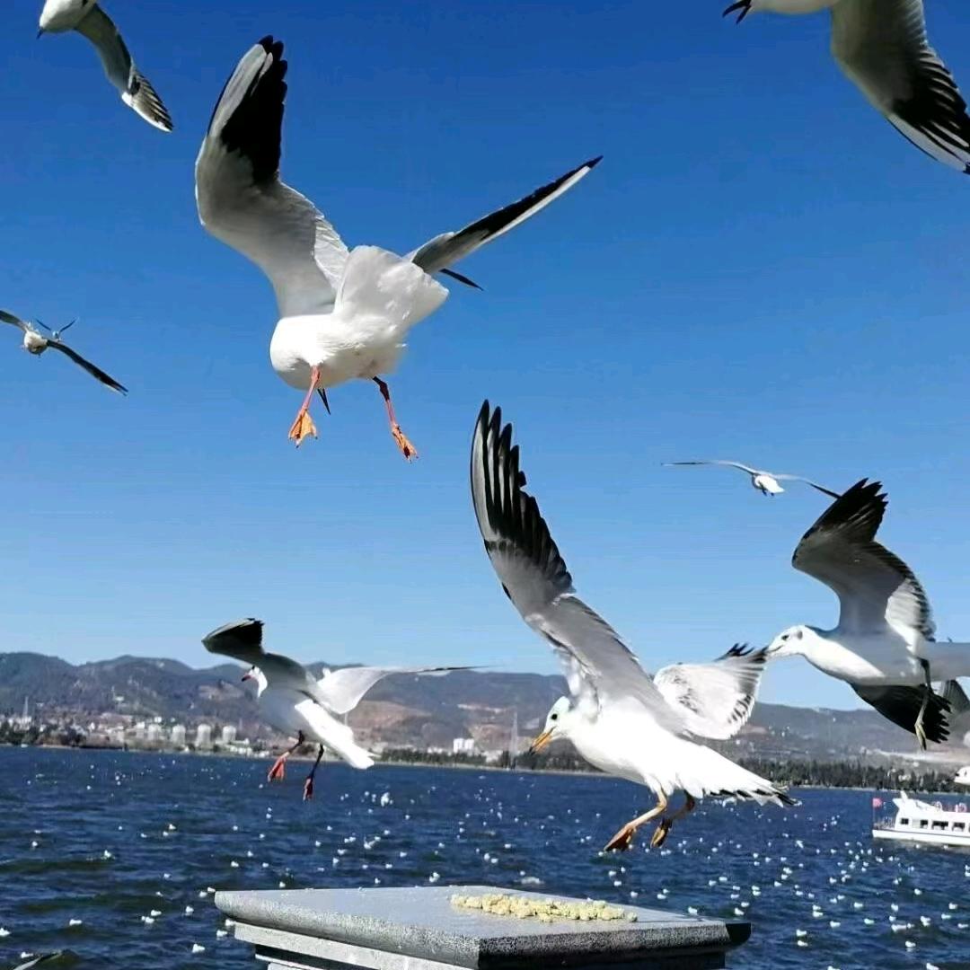 超哥旅行（桀的桀咨询）