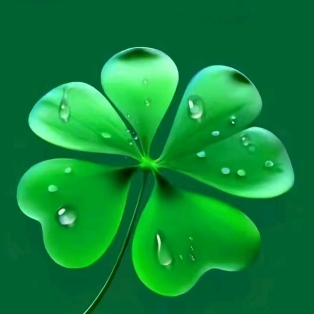 幸运☘️☘️