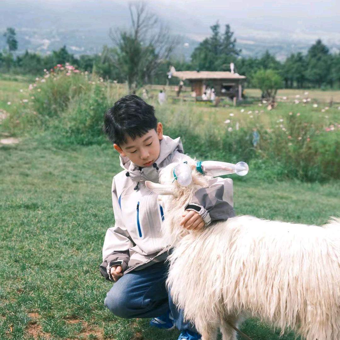 地铁逃生、无敌