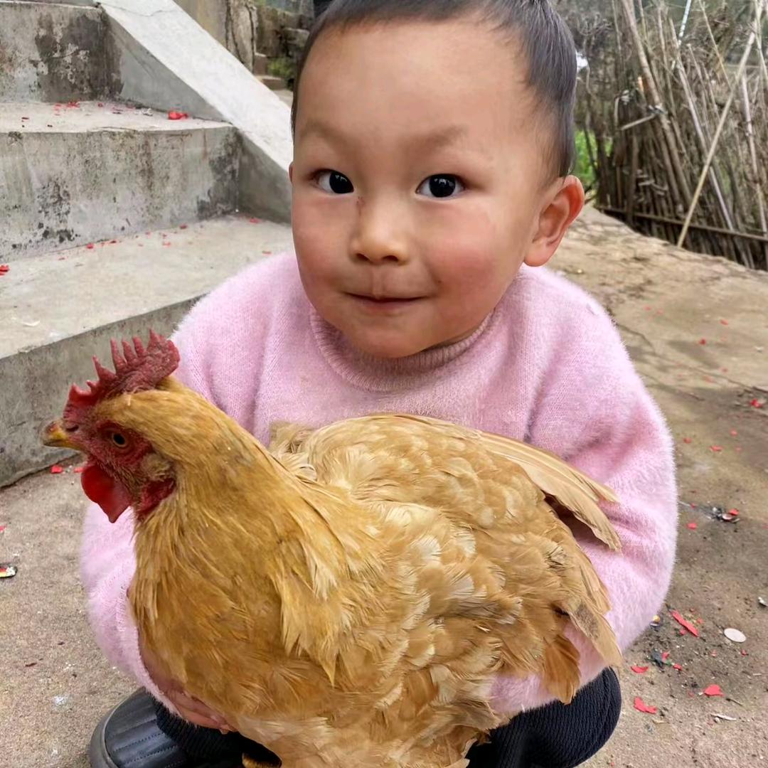 এ᭄一介🇨🇳俗人ღᩚ᭄