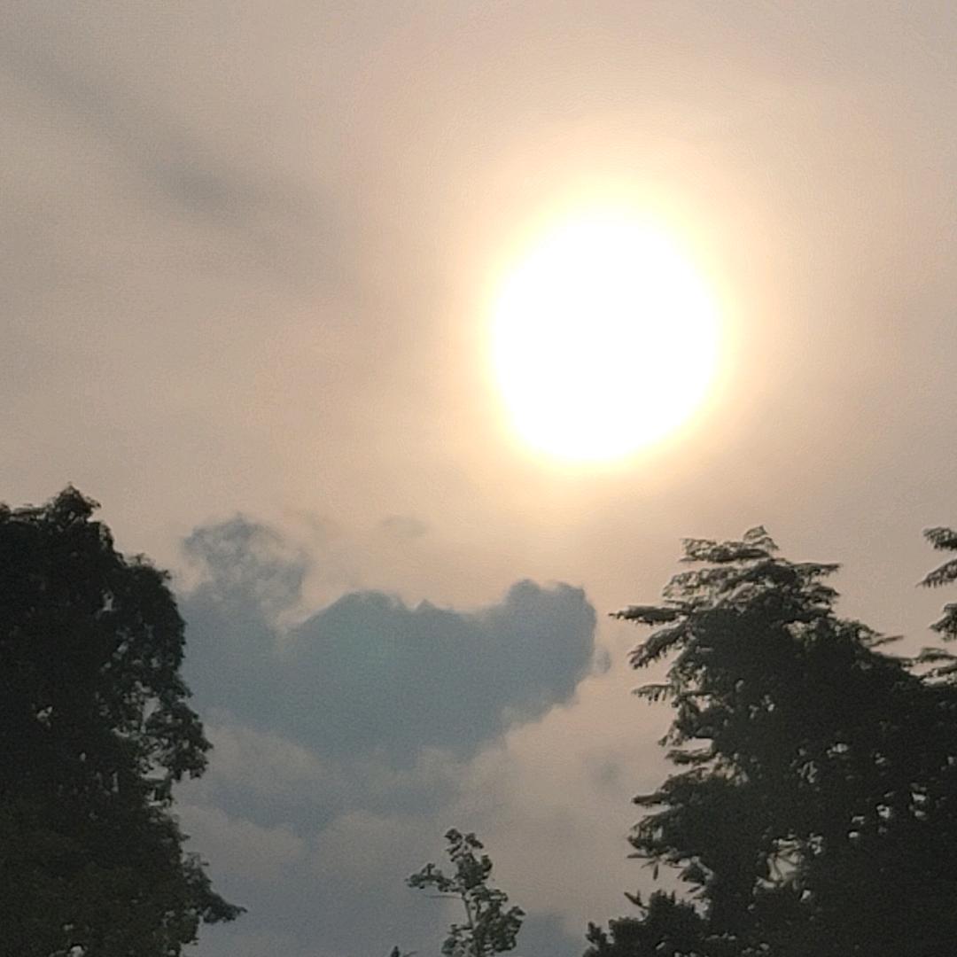 洋芋丝丝