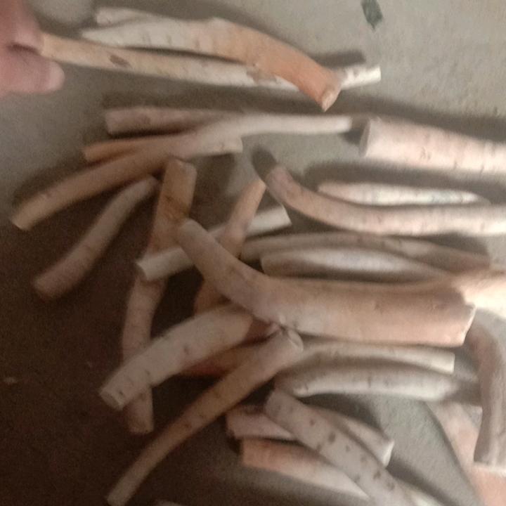 地产白芍各种规格马杰