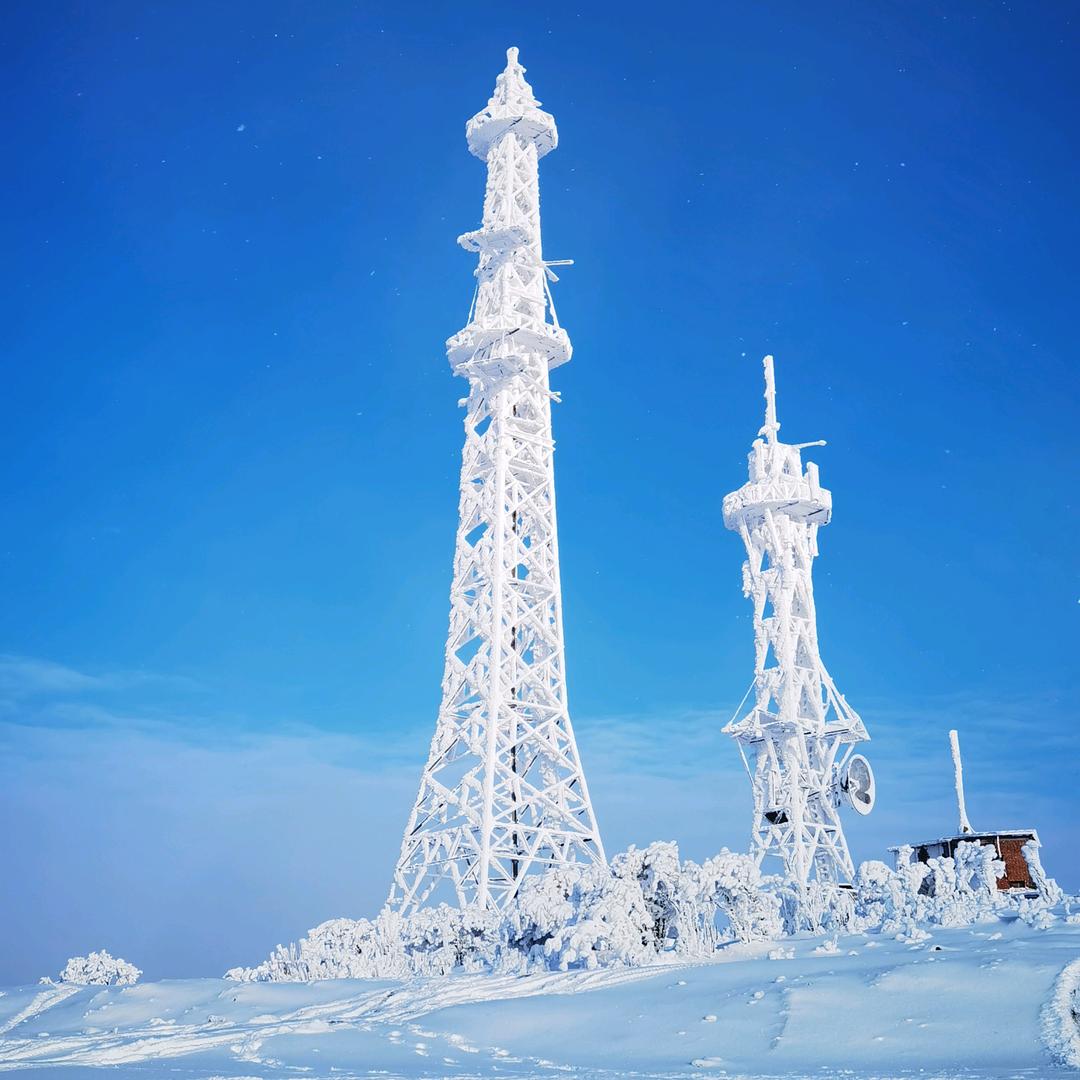 我是来看妞儿的