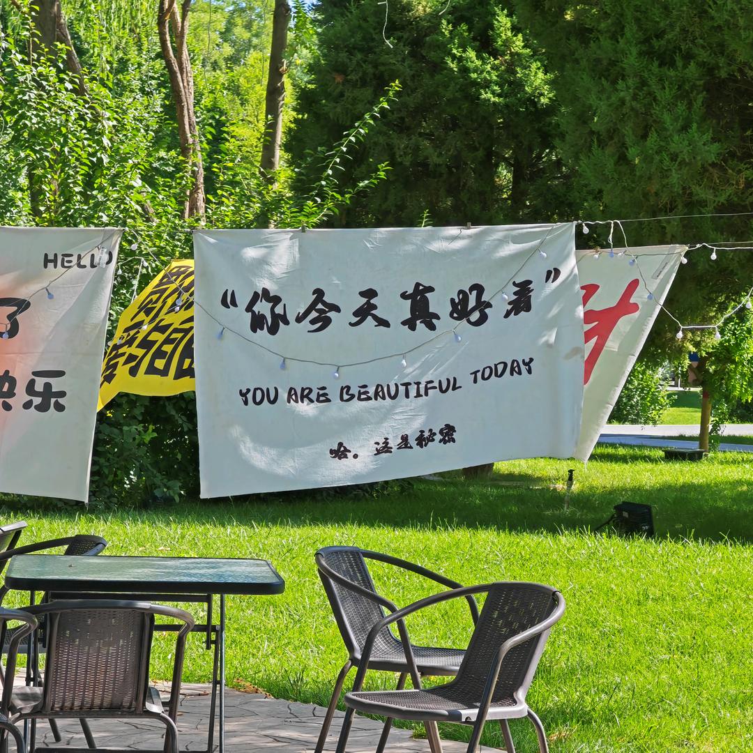 灰灰小