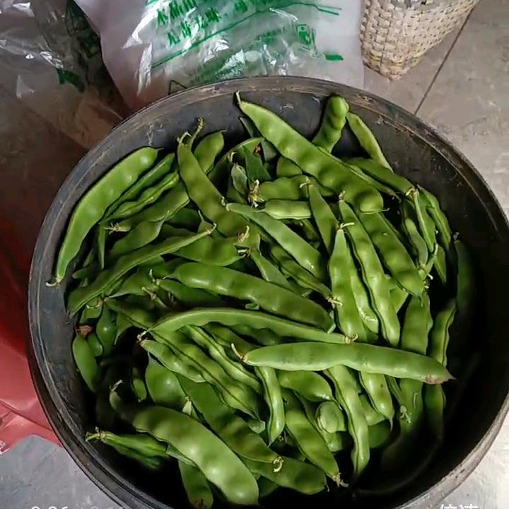 农村无公害纯天然绿色疏菜