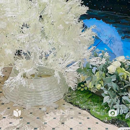 瑞安黎明的深秋🎙️