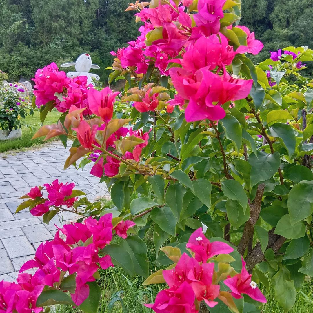 幸福的一家人