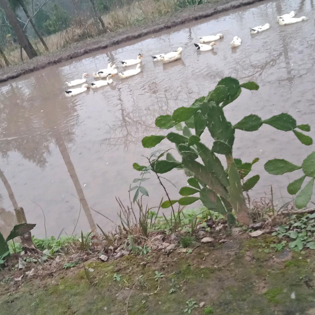 幸福夕阳