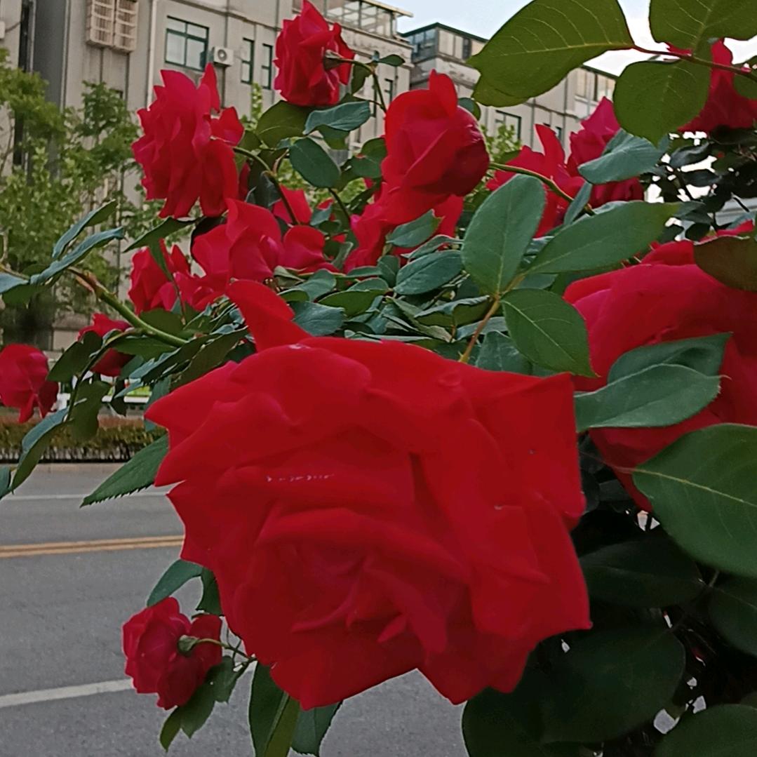 爱过了，伤过了