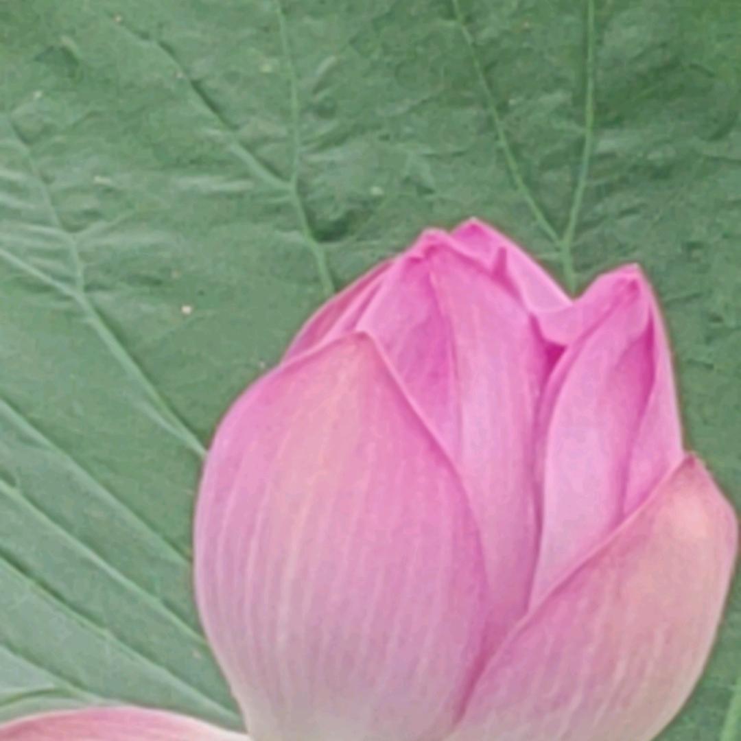 @悠然
