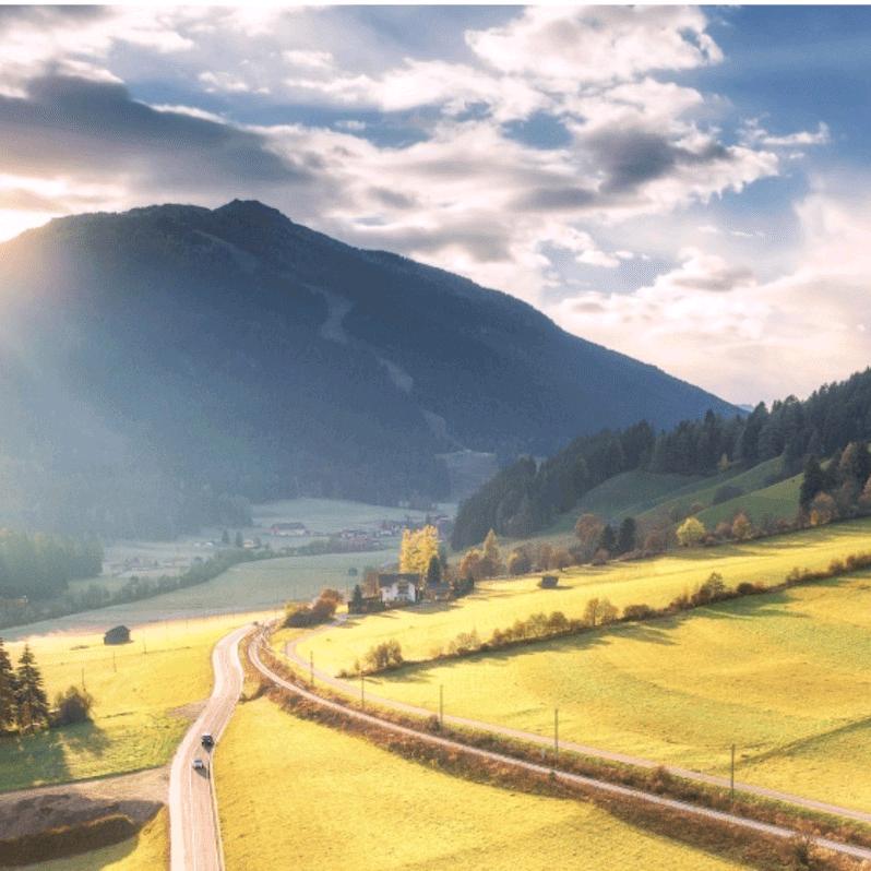 ☀🥩🌈🐯🌛华