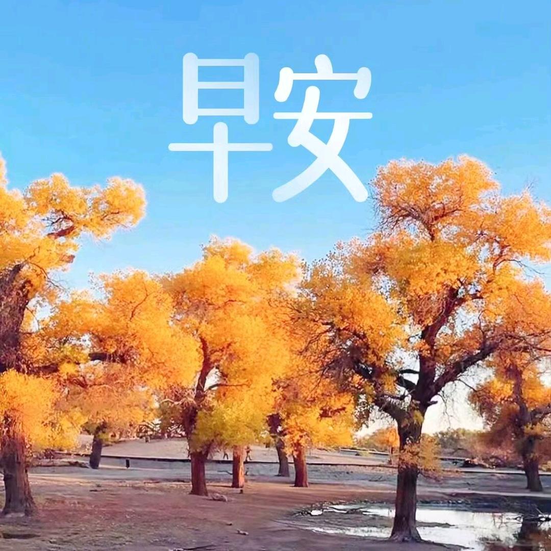 不念过往