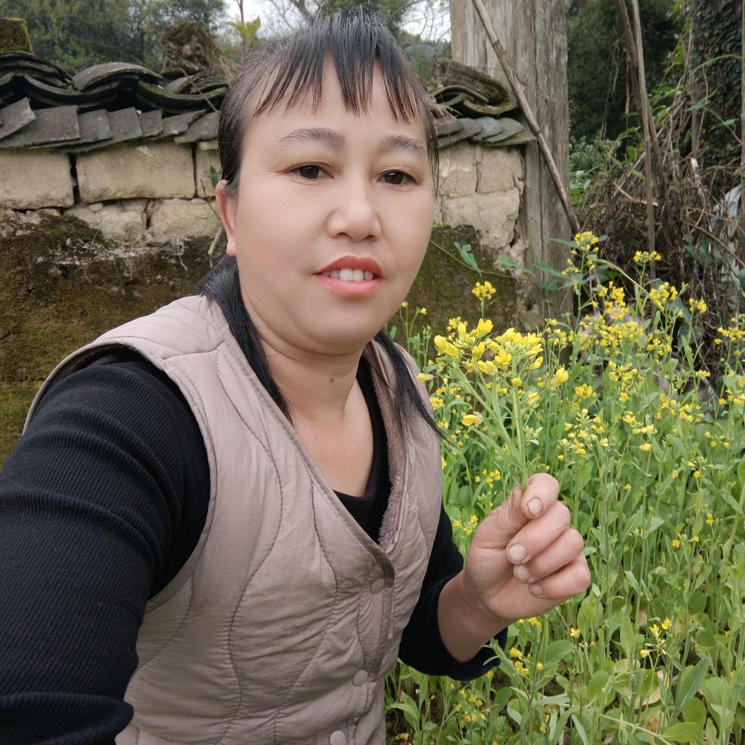 燕子飞飞💰