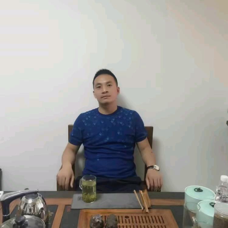 展翅飞翔
