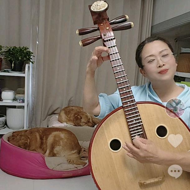 琴声伴狗眠