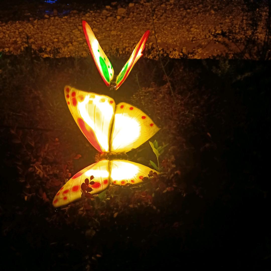 不为失败找借口，只为成功找理由