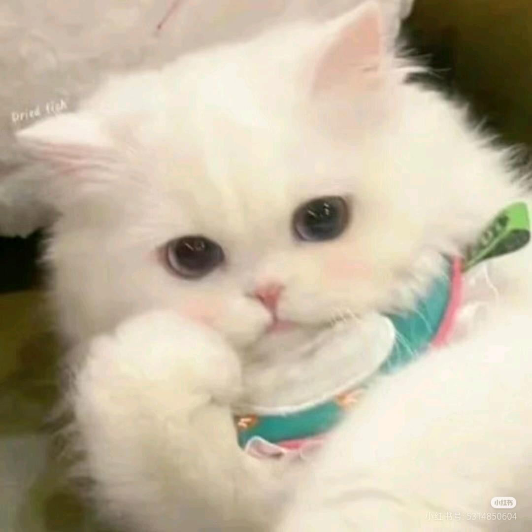 福福