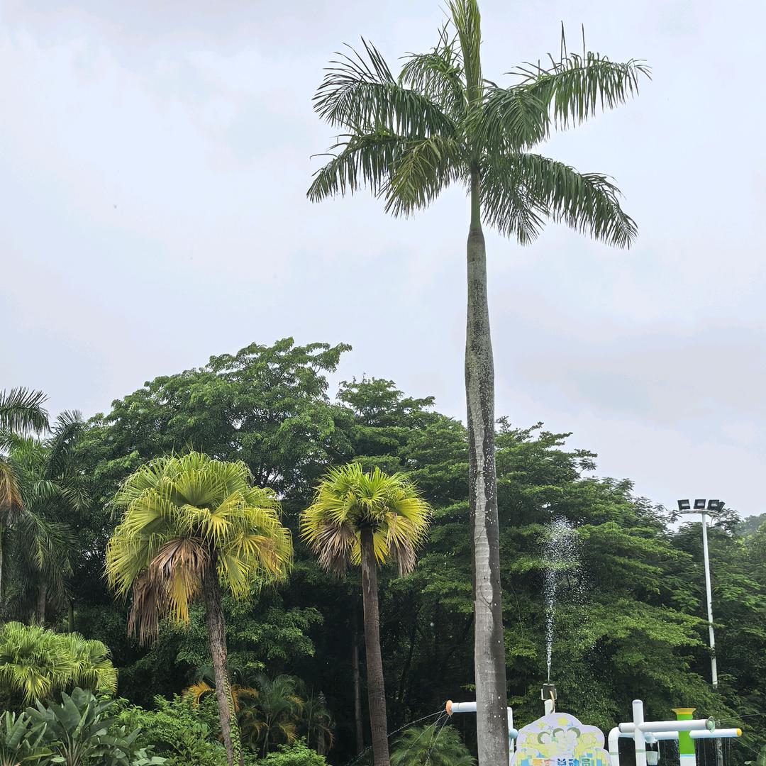 握不住的沙不如让他扬长而去V。