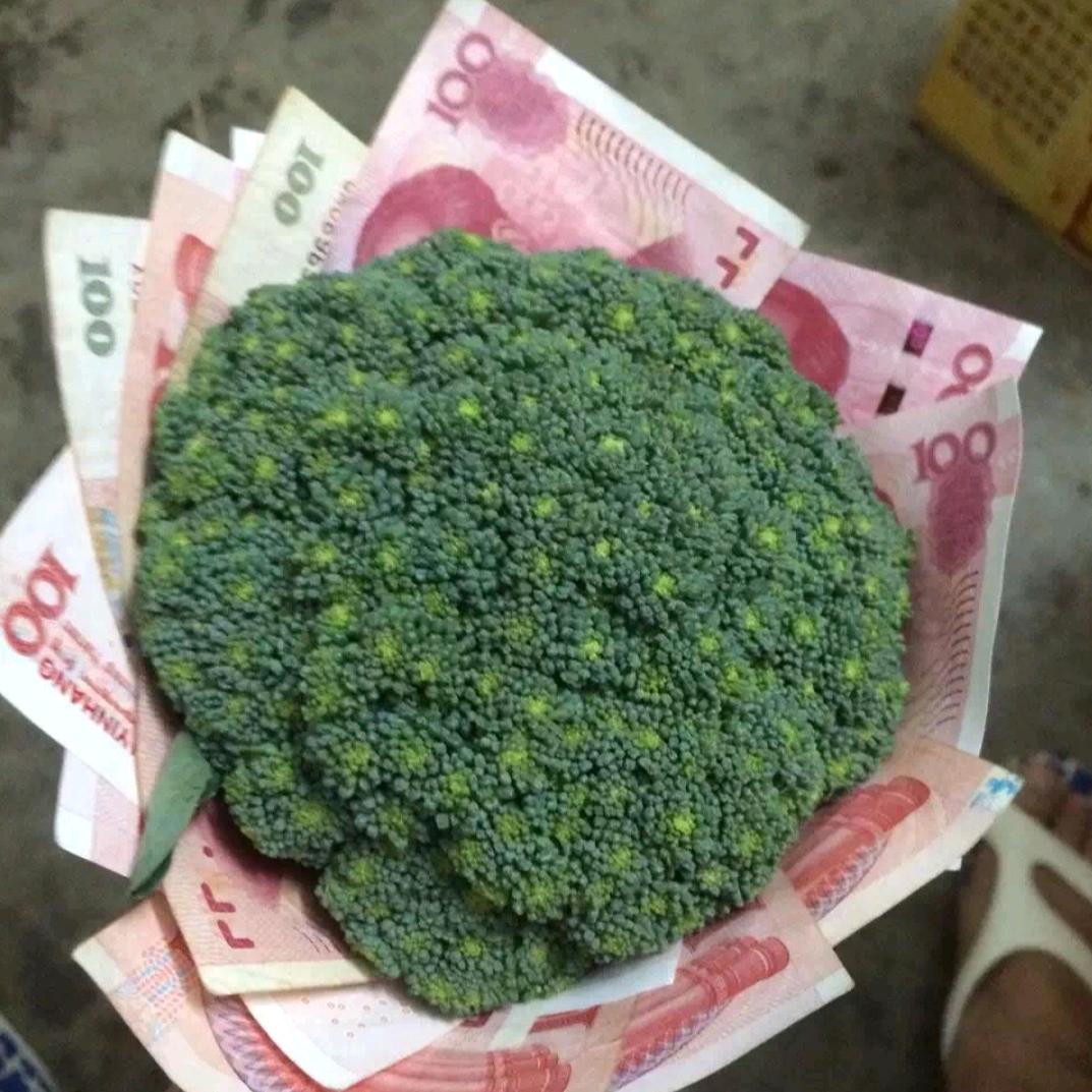 愿余生只为了遇到您！