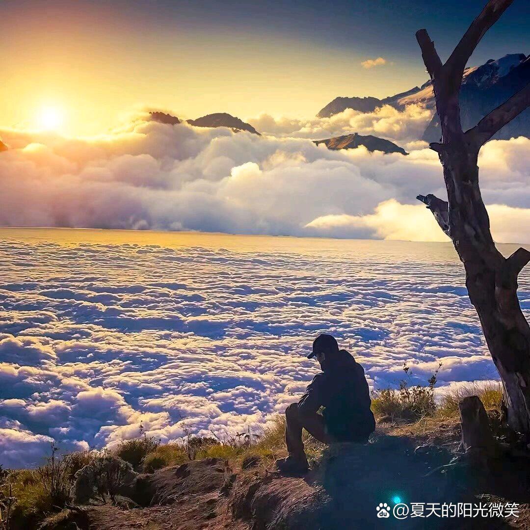 用户 84894651234165