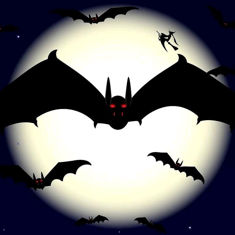 该隐🦇