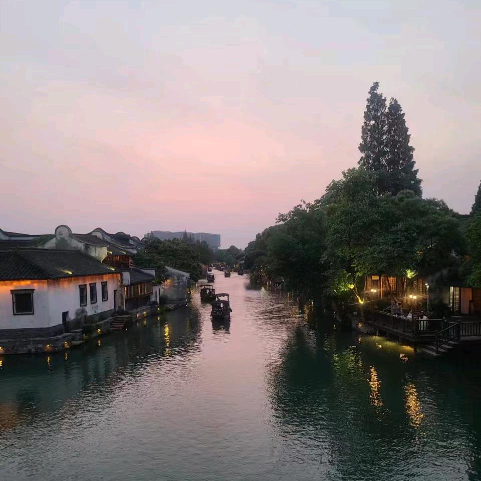 兰花