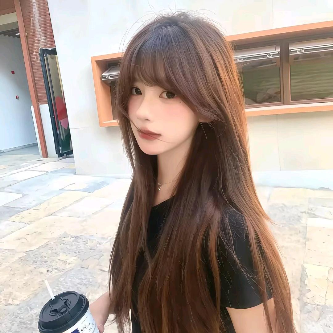 芝士猫