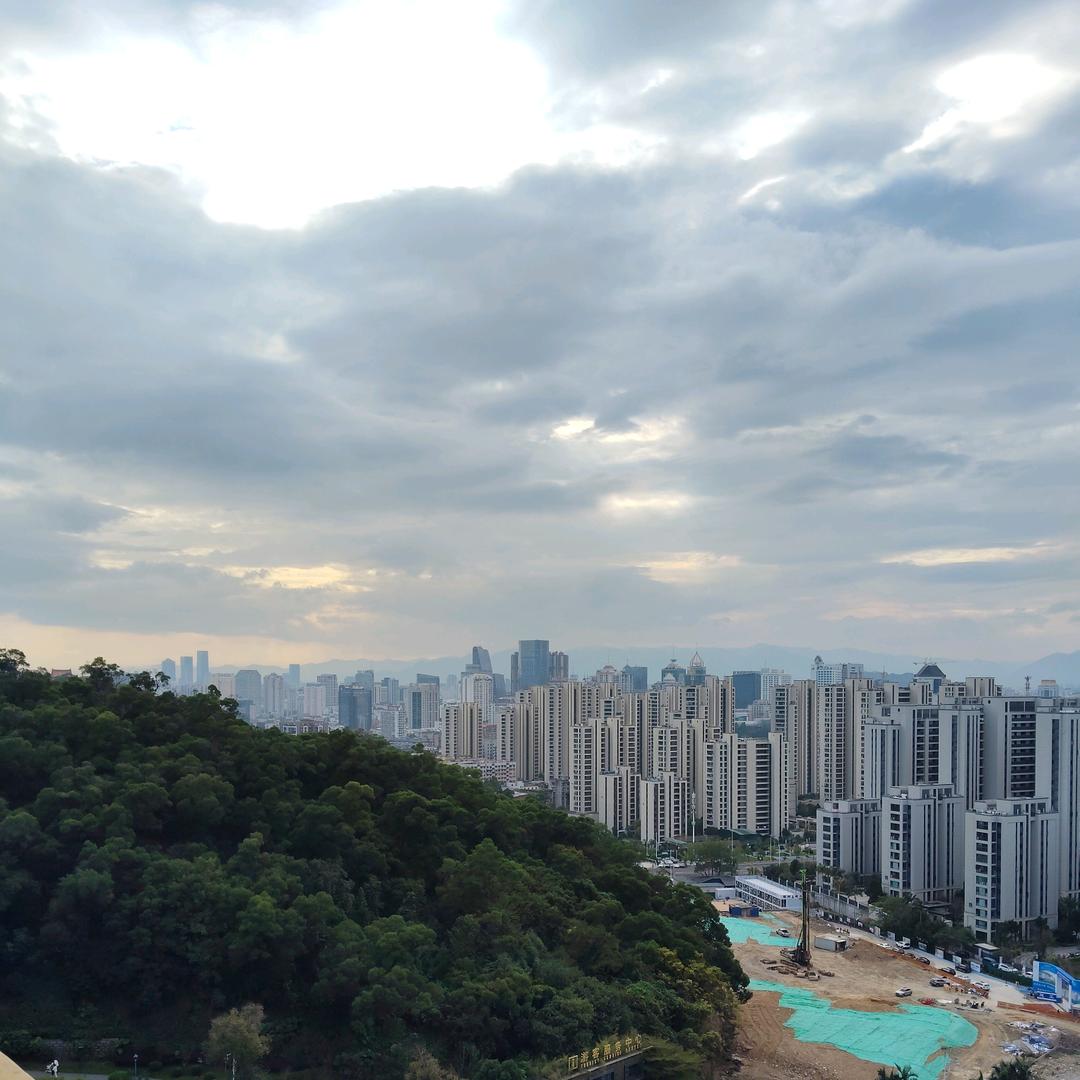 小杨…